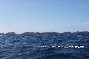 7. IMG_3218,I.jpg